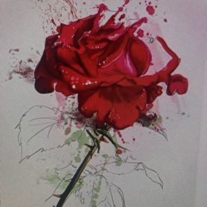 Meet your Posher, Natali